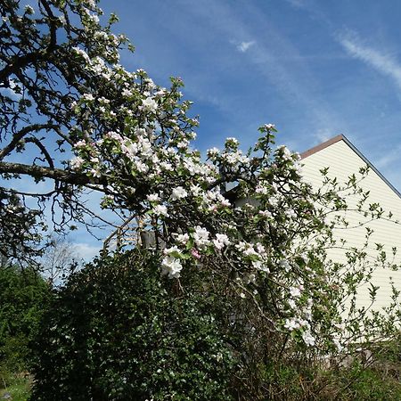 Au Val Des Meuris Panzió Taintrux Kültér fotó
