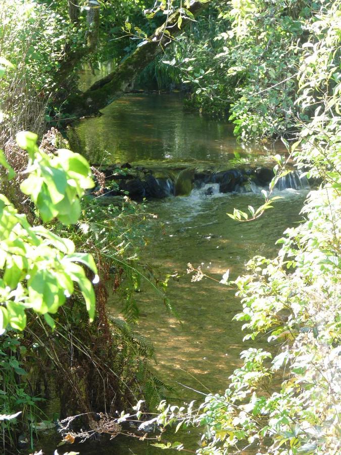 Au Val Des Meuris Panzió Taintrux Kültér fotó