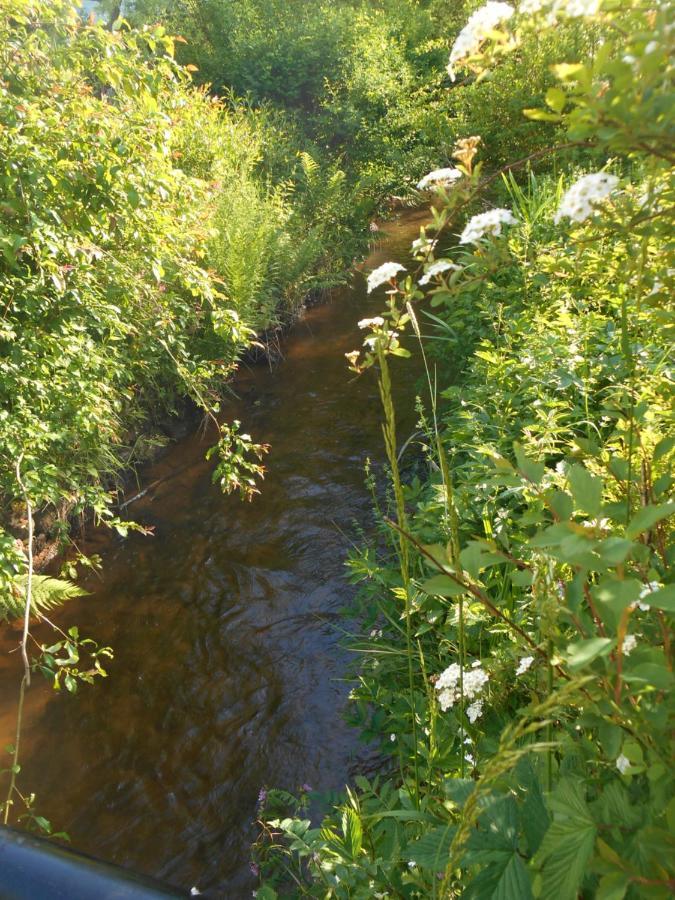 Au Val Des Meuris Panzió Taintrux Kültér fotó