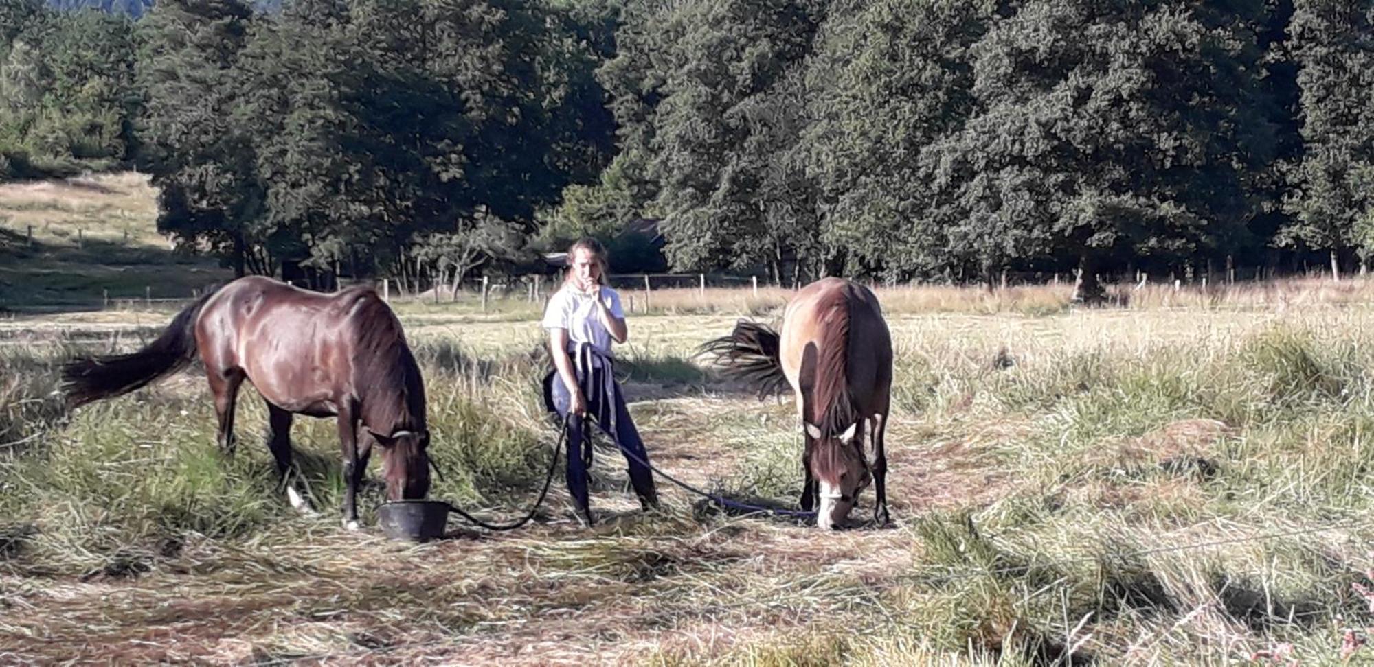 Au Val Des Meuris Panzió Taintrux Kültér fotó
