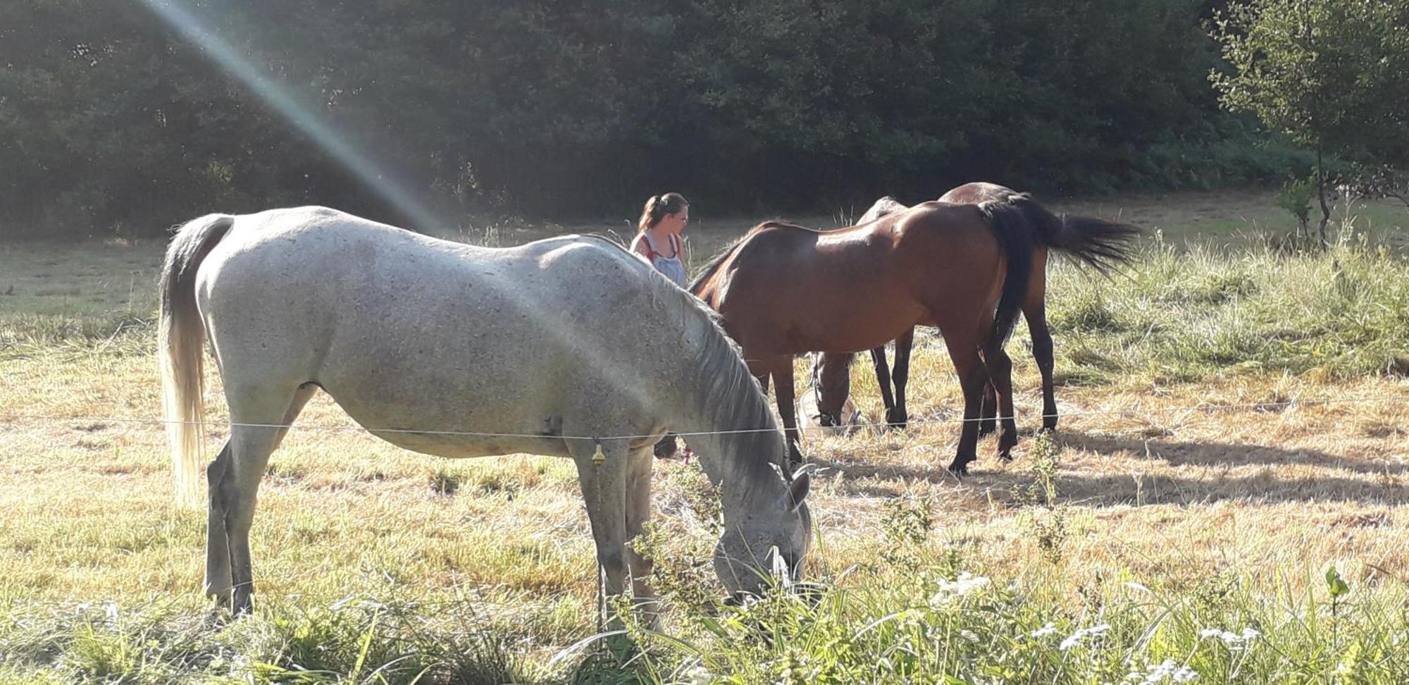 Au Val Des Meuris Panzió Taintrux Kültér fotó